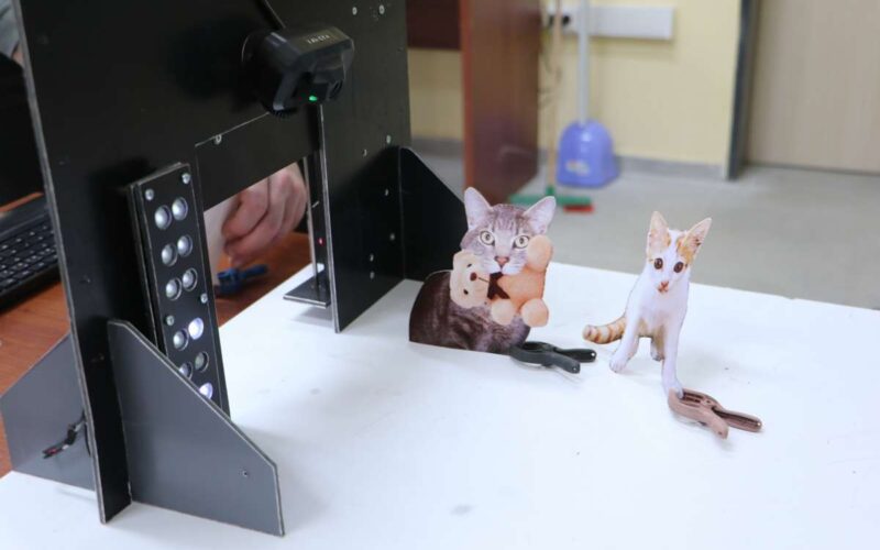 Samsun’da lise öğrencisinden  kediler için akıllı giriş kapısı