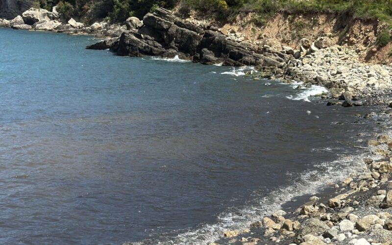 Amasra’da denizde kirlilik