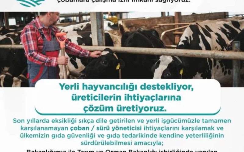 Yabancı çobanlara çalışma izni başvuruları başladı