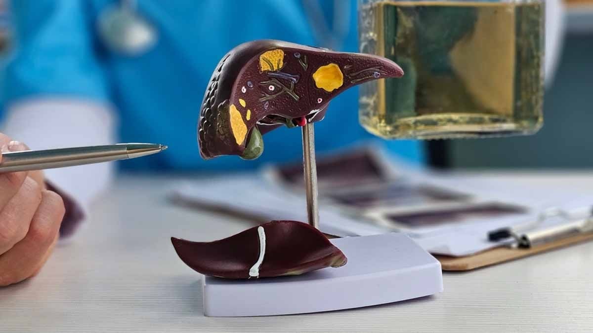Karaciğer için en tehlikeli alkol belli oldu! OECD raporuyla ortaya çıktı