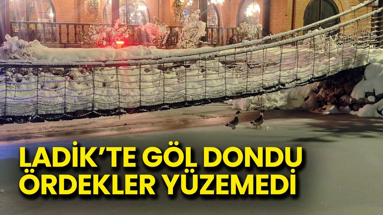 Ladik'te Göl Dondu! Ördekler Yüzemedi
