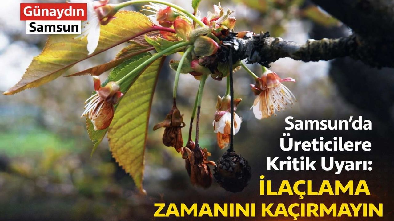 Samsun’da Üreticilere Kritik Uyarı