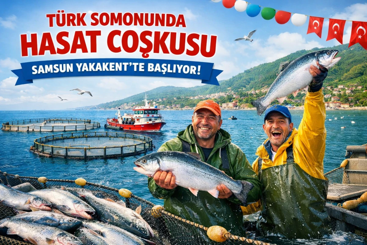 Türk Somonunda Büyük Hamle! Yakakent’te Hasat Şöleni Başlıyor