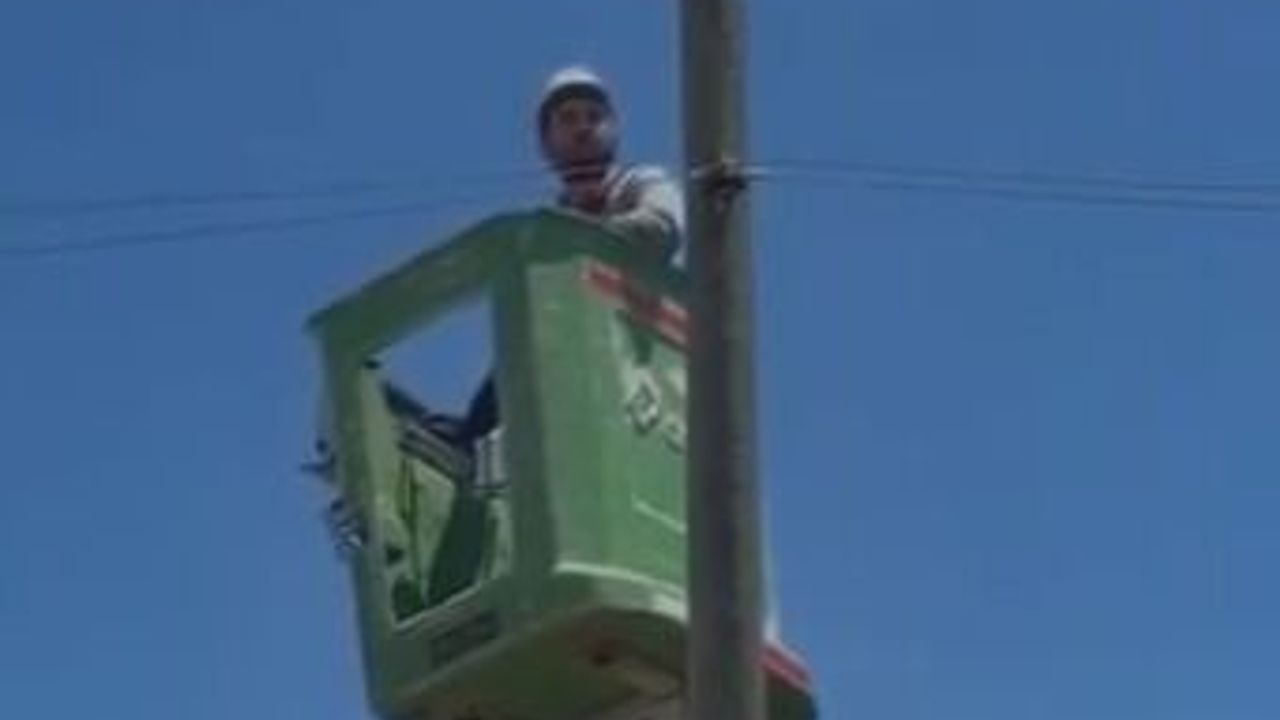 Amasya'da elektrik direğinde mahsur kalan kedi kurtarıldı