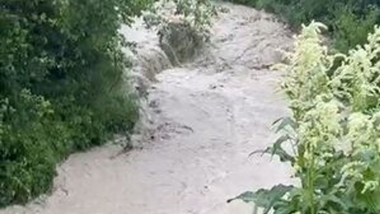 Şiddetli yağışın ardından dereler taştı, tarım arazileri su altında kaldı