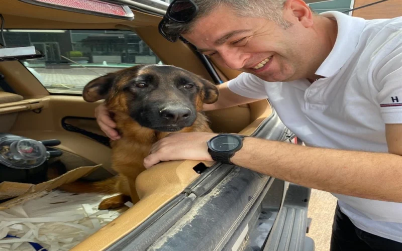 25 Gündür Kayıp! Santos’u Bulana 100 Bin TL Ödül