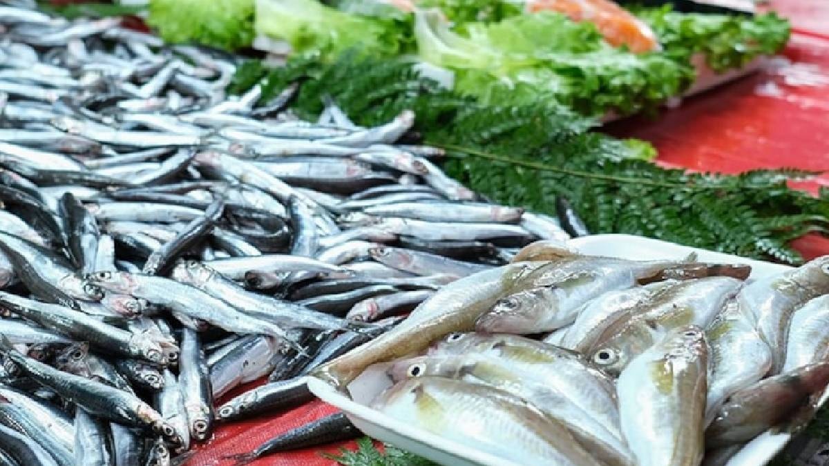 Cıva riski en düşük ve en besleyici balıklar belli oldu