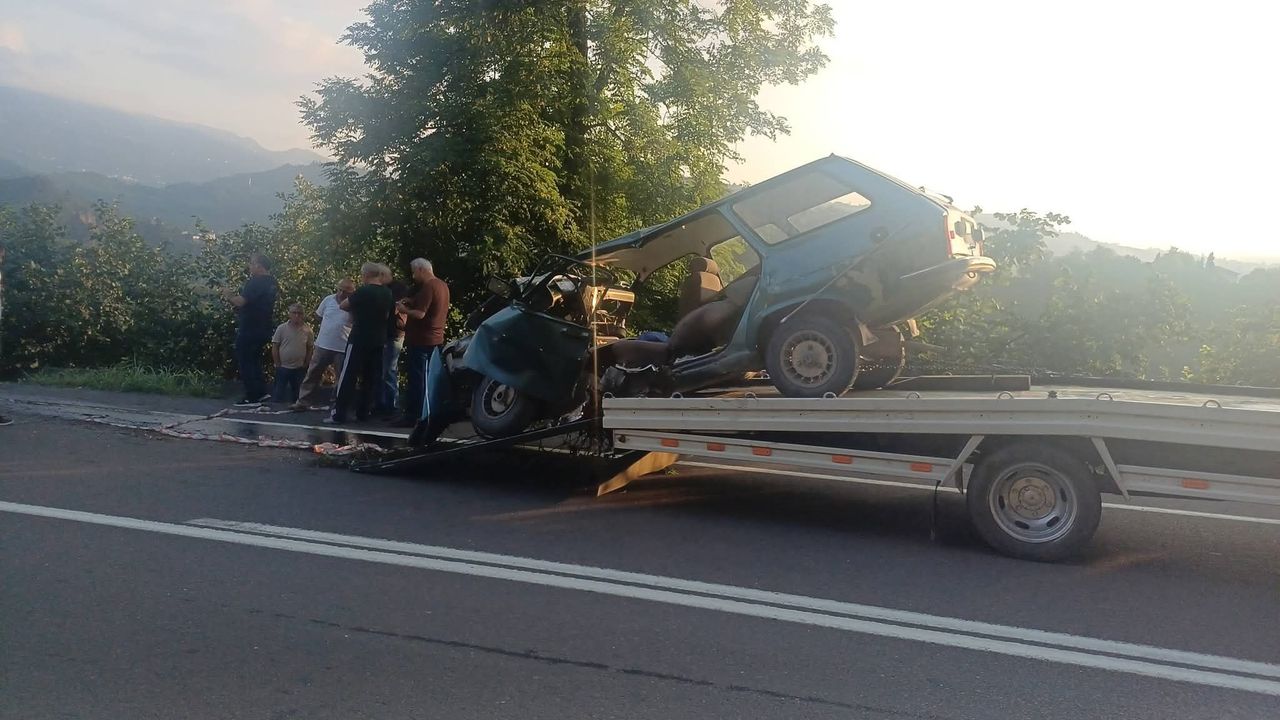 Ordu'da ağaca çarpan otomobilin sürücüsü öldü
