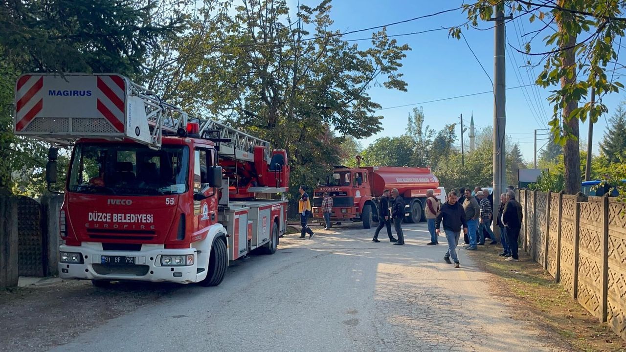 Düzce'de mobilya fabrikasında yangın
